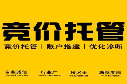 关键词布局技巧：SEM运营成功案例解析